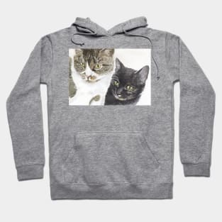 Two cats - tabby and tortie Hoodie